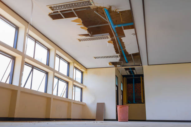 Best Professional water damage repair  in Eatons Neck, NY