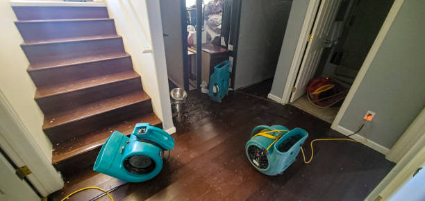  Eatons Neck, NY Water damage restoration Pros