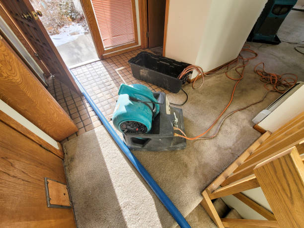 Best Carpet water damage restoration  in Eatons Neck, NY