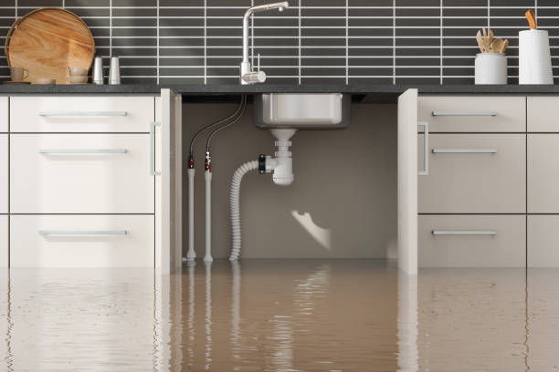 Best Sewage cleanup and water damage restoration  in Eatons Neck, NY