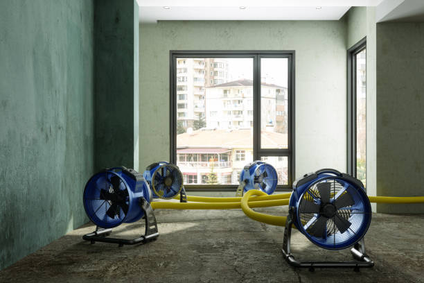 Best 24/7 water damage repair  in Eatons Neck, NY